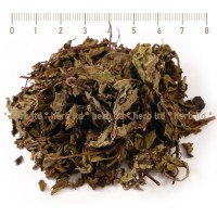 Ortosifon, Java Tea, Kidney Tea, Orthosiphon stamineus Benth, stem, HERB TM