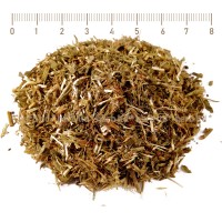 Knotgrass Herb, Polygonum aviculare, stem, HERB TM