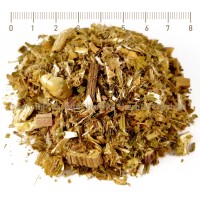 ST. benedict's blessed thistle cut, Blessed Thistle Herb, Cnicus benedictus, stem, HERB TM