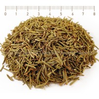 Rosemary Tea, Rosmarinus officinalis, leaf, HERB TM