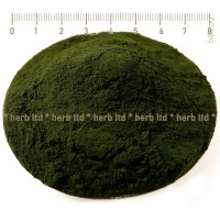 Spirulina Powder Organic, Arthrospira platensis, Blue-green algae, HERB TM