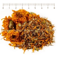 Marigold, Turta, Tagetes, Tagetes erecta, flower, HERB TM