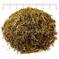 Horsetail, Field Horsetail, Herba Equiseti arvense, stem, HERB TM