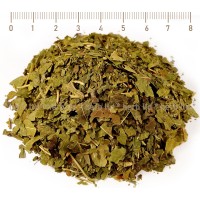 Natural Mulberry Leaf Tea, Morus nigra, HERB TM