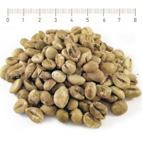 Green Coffee, Coffea Robusta, Whole, Coffea canephora, seeds, HERB TM