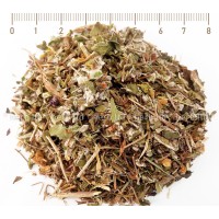 Herbal tea Broncho Care, Herbal Tea Blend, HERB TM