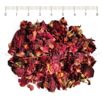 Red rose flower petails, Rosae centifolia, flower, HERB TM