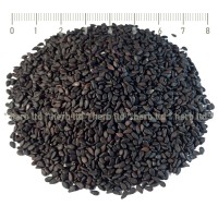 Black Sesame Seeds, Sesamum indicum, HERB TM