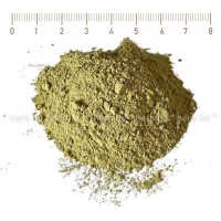 Ground ivy stem powder - for cough, for parasites, Glechoma hederacea L.