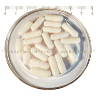 Empty gelaine capsules for home filling in bulk, different packages, - Size 00 to 1000 mg