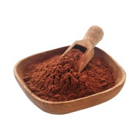 Cocoa powder - fat content 20-22%, Theobroma cacao