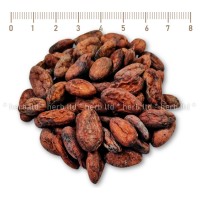 Whole cocoa beans Trinitario, Theobroma cacao