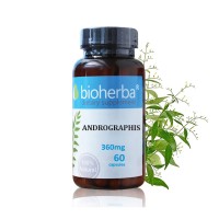 Andrographis 360mg 60 capsules