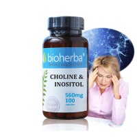 Bioherba Choline & Inositol 560mg x 100 Capsules