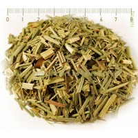 Lemon Grass, Cymbopogon flexuosus, stem, HERB TM