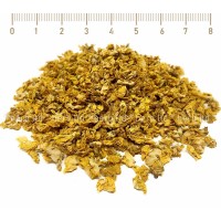 Mullein, yellow verbascum, Verbascum thapsus, flower, HERB TM