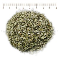 Olive Leaf Tea, Olea europaea, leaf, HERB TM