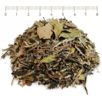White Tea Pai Mu Tan - Spezial, Camellia Sinensis, HERB TM