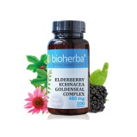 Elderberry, echinacea, goldenseal complex, Bioherba, 100 Capsules, 480 mg