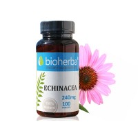 Echinacea, 100 capsules, 240 mg