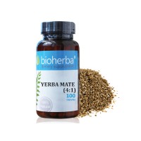 Yerba Mate (4:1) 500mg 100 capsules 
