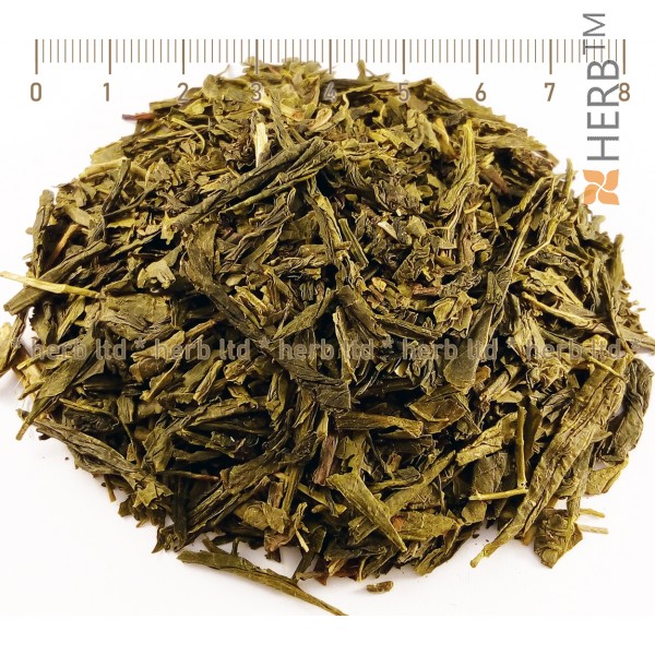 Grüner Tee Sencha Kraut, Sencha Tee Preis, Sencha Tee Aktion, Grüner Tee Sencha zur Gewichtsreduktion