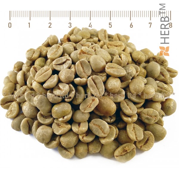 Rohkaffeebohnen, Arabica, Coffea Arabica, Preis für grüne Kaffeebohnen