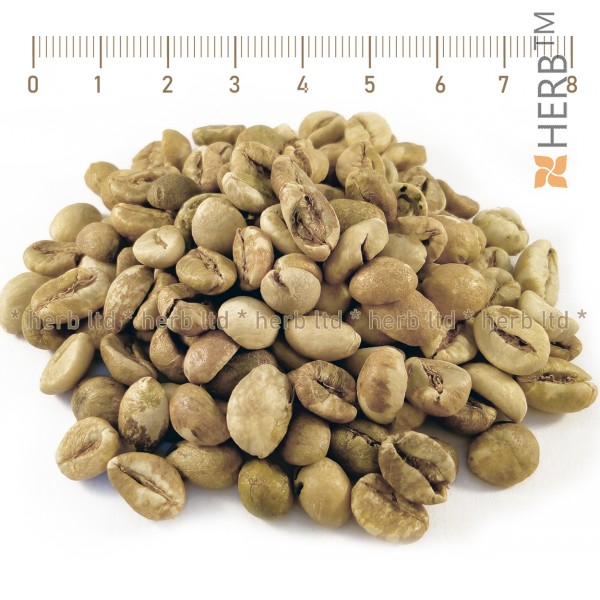 grüne Kaffeebohnen, Coffea robusta, geteilte Kaffeeaktion