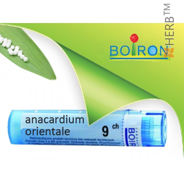 Anakardium, Anacardium Orientale Boiron - Hauptansicht