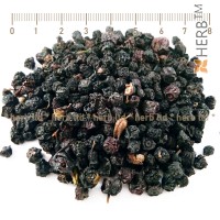 Heidelbeere-Schwarze, Heidelbeere, Kräuter Frucht, Vaccinium Myrtillus