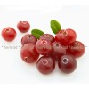 Cranberry-Frucht, Vaccinium vitis-idaea, Cranberry-Tee, Cranberry-Tee Vorteile