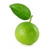 Limettentee, arabische Naomi, Basra-Tee, Loomi-Tee, Citrus aurantiifolia