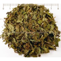 Heidelbeere-Schwarze, Vaccinium Myrtillus, Kräuter Blätter