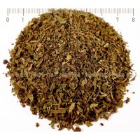 Basilikum, Ocimum Basilicum, Kräuter Blätter