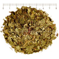 Weiß Birke, Birkentee, Birkenblätter, Birke Getrocknete Kräuter Blätter - Betula Pendula, Betula Alba
