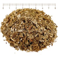 Weidenrinde Tee (Salix Alba L.), Kräuter Blätter