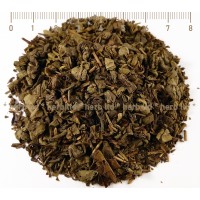 Grüner Tee Perlen, Perle Grüntee, Camelia Sinensis, Kräuter Blätter