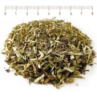 Malvenblüten Tee, Malva Sylvestris L., Kräuter Blätter