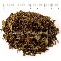 Stevia Blatter – Tee, Stevia Blätter, Stevia Rebaudiana, Kräuter Blätter