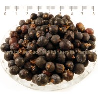 Gemeiner Wacholder, Juniper - Stech-Wacholder, Juniperus Oxycedrus L., Kräuter Frucht