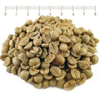 Gruner Kaffee, Coffea Arabica, Ganz, Coffea Canephora, Kräuter Samen