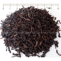 Schwarzer Tee Assam, Camellia Sinensis., Kräuter Blätter