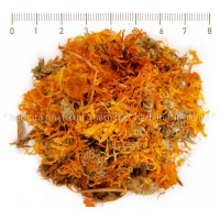 Orange Ringelblume, Calendula Officinalis, Kräuter Blüten