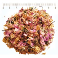 Ölhaltige Rosa, Aus Kasanlak, Aromatisch – Blüte, Kräuter Blüten, Gemahlenes Kraut
