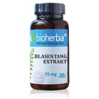 Bioherba Blasentang-Extrakt, 75mg, 60 Kapseln.