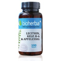 Bioherba Lecithin, Kelp, B-6 & Apfelessig, 100 Kapseln