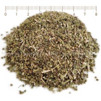 Wermut, Wermutkraut, Artemisia Absinthium, Kräuter Stängel