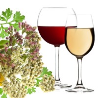 Kräuter Zur Herstellung Von Wermutwein, Kräutermischung, Aromatische Kräuter. Machen Sie sich einen duftenden Wein.