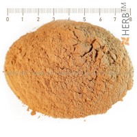 Женшен корен на прах - Червен, при умора и изтощение, Panax ginseng