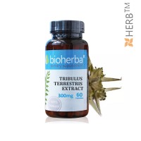 Трибулус экстракт, Bioherba, 60 капсул, 300 мг